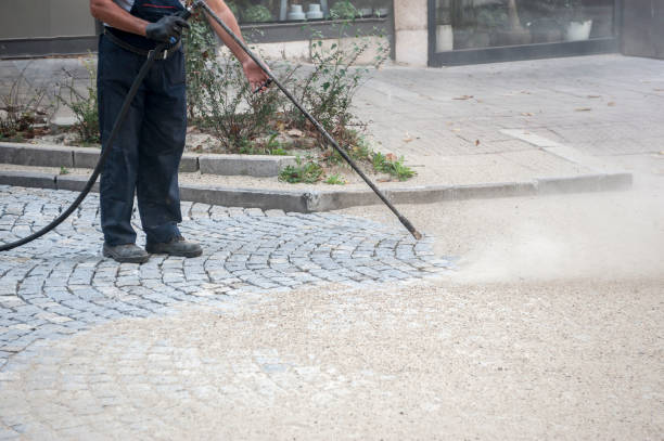Best Driveway Pressure Washing  in Chariton, IA