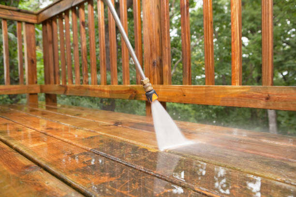 Animal Enclosure Cleaning in Chariton, IA